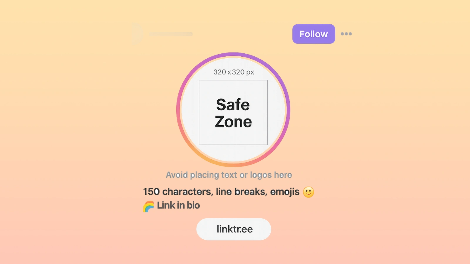 instagram-profile-pic-bio-layout.