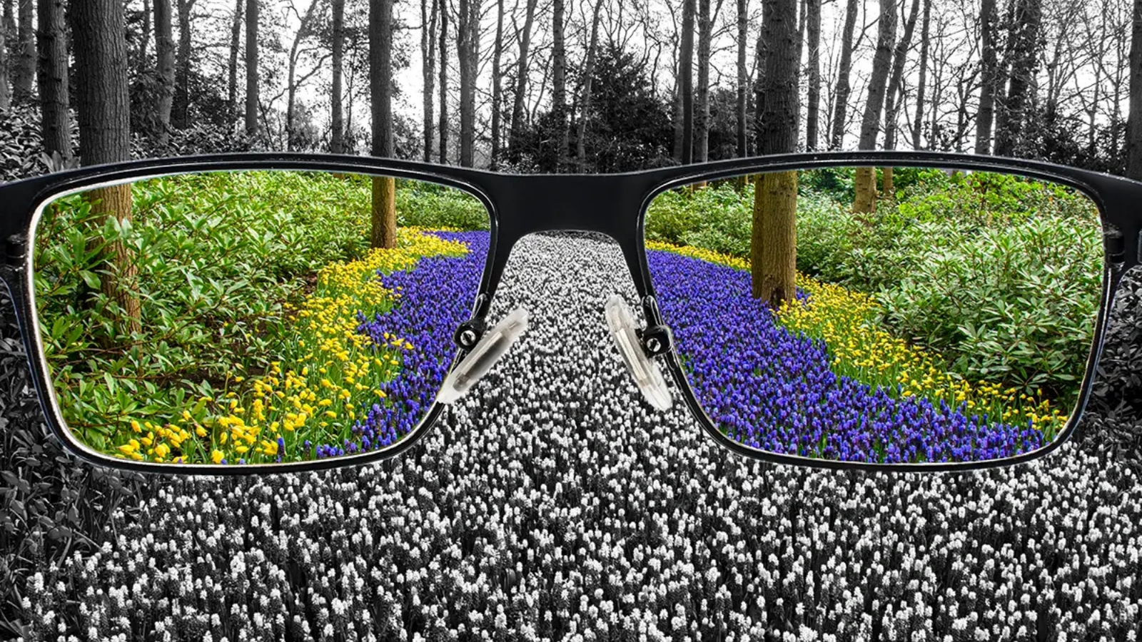 high-quality-visuals